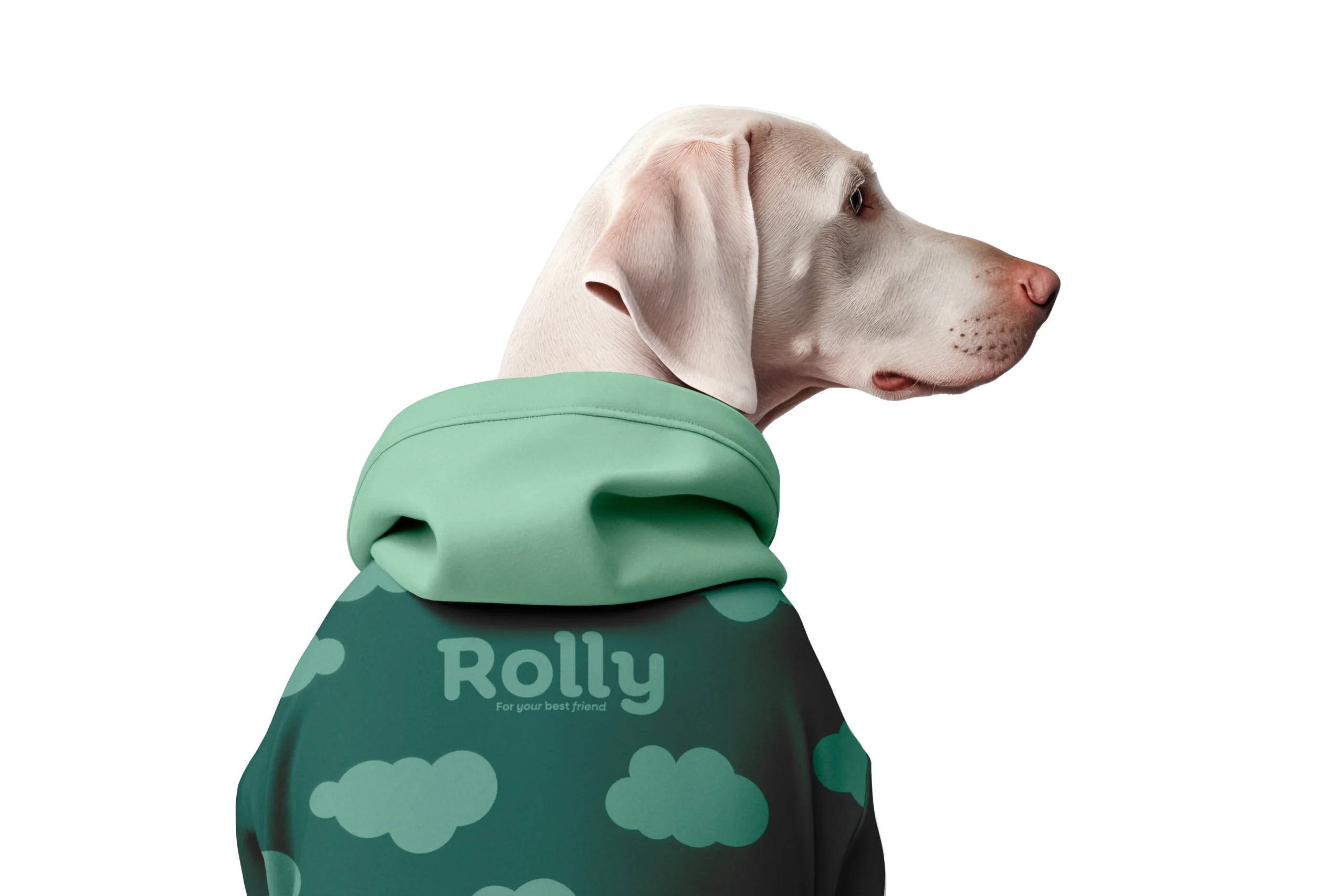 ROLLY 1